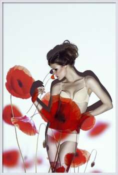 Poster Red