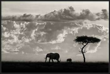 Poster Silhouettes of Mara
